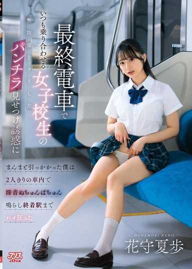 最終電車でいつも乗り合わせる女子校生の無防備なフリしたパンチラ見せつけ誘惑にまんまと引っかかった僕は2人きりの車内で淫音ぬちゅんぱちゅん鳴らし終着駅までハメ狂った 花守夏歩