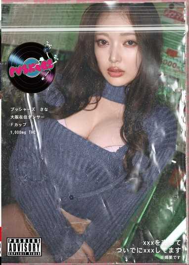 プッシャーズ さな