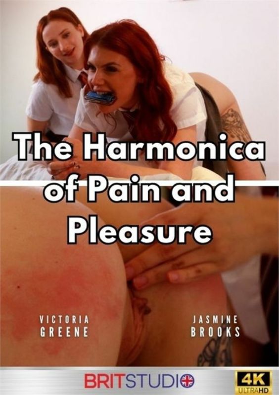 The Harmonica Of Pain And Pleasure