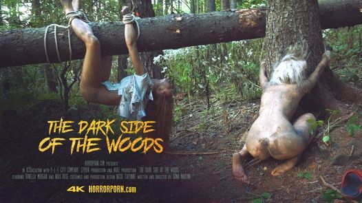 the dark side of woods